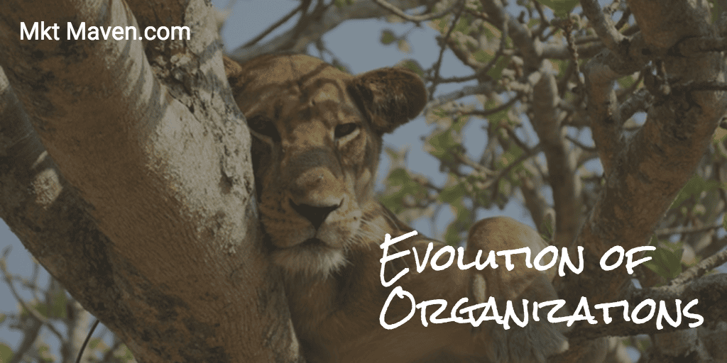 adaptation in organizations