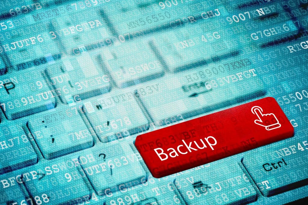 website backup