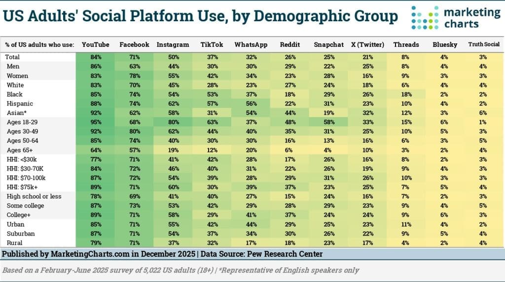 social media demographics